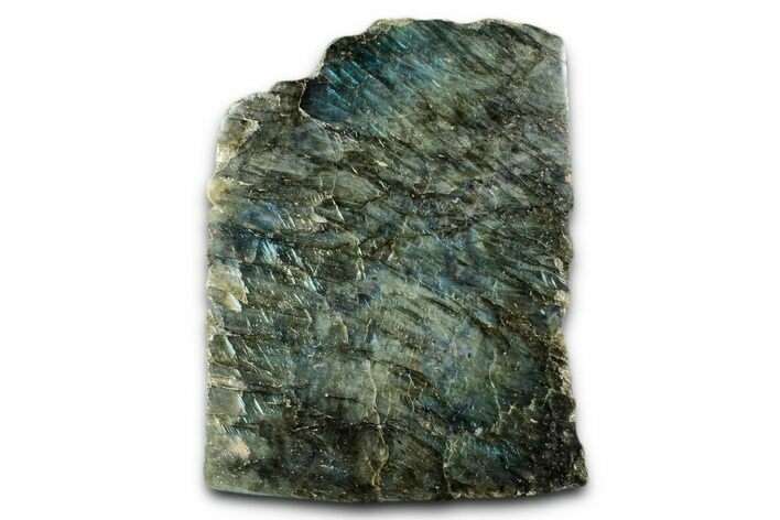 Tall, Single Side Polished Labradorite - Free-Standing #341819